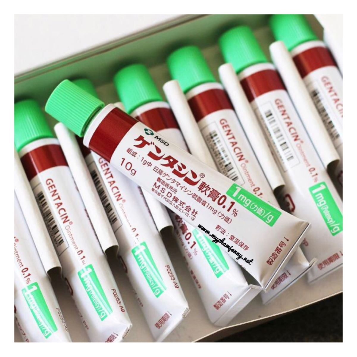 Kem trị sẹo Gentacin Ointment 0.1% ( 10gr ) Nhật Bản