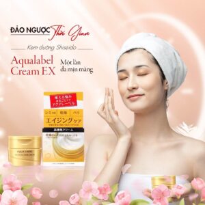 Kem Dưỡng Ẩm Shiseido Aqua Label Gel Vàng 90G