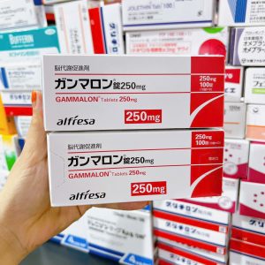 Viên uống hỗ trợ bổ não Gammalon 250mg Nhật Bản