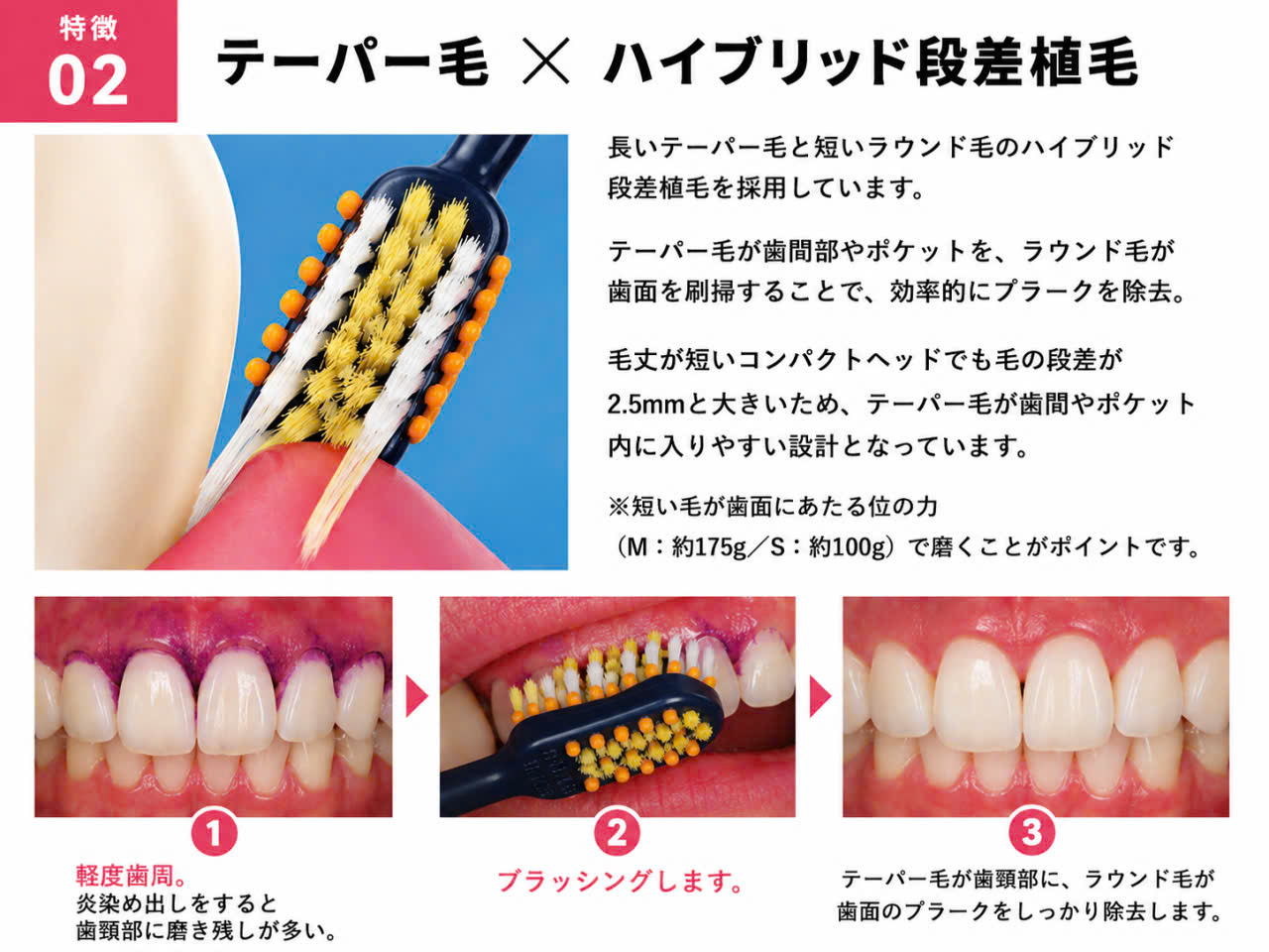 SET 12 BÀN CHẢI ĐÁNH RĂNG CHĂM SÓC RĂNG MIỆNG - DR.KAIROL ALL-IN-ONE TOOTHBRUSH SET